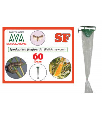 Ava Combo Pack of Funnel Pheromone Trap + SF Lure